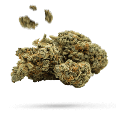 Blueberry Triple OG - Cannabissorte