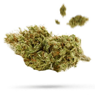 Blunicorn - Cannabissorte