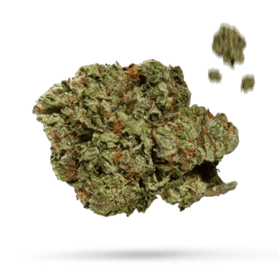 Bog Sour Grape - Cannabissorte
