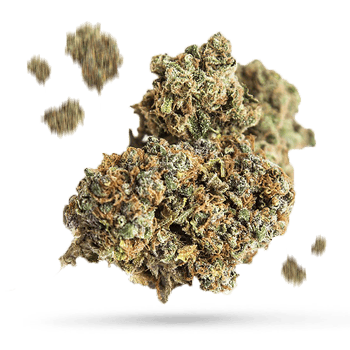 Bond Road Kush - Cannabissorte