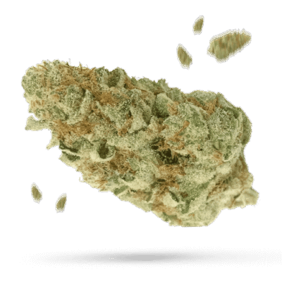 Brian Berry Citrus Blend - Cannabissorte