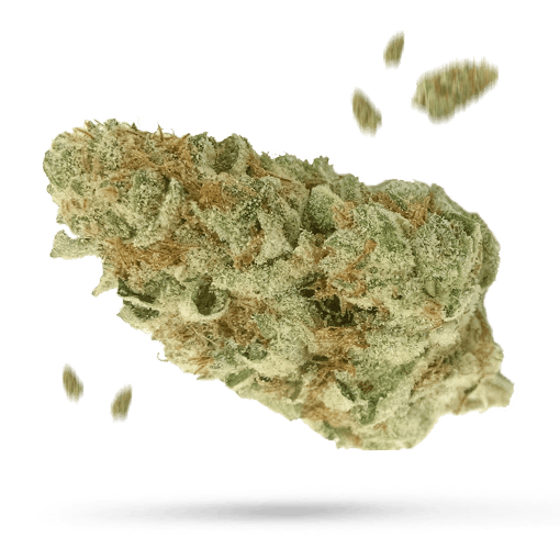 Brian Berry Citrus Blend - Cannabissorte