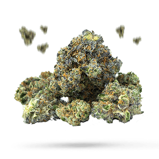Brian Berry Honey Lemon - Cannabissorte