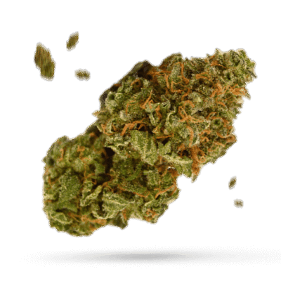 Bubba Cake - Cannabissorte