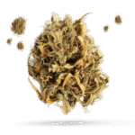 Bubba Hash - Cannabissorte