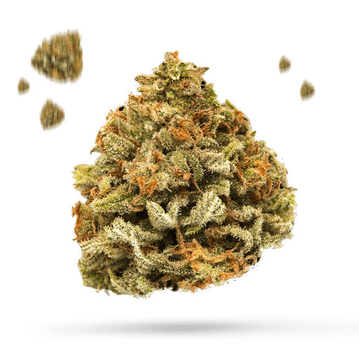 Bubba Skywalker - Cannabissorte