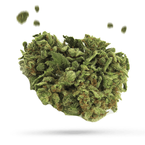 Bubba x Skunk - Cannabissorte
