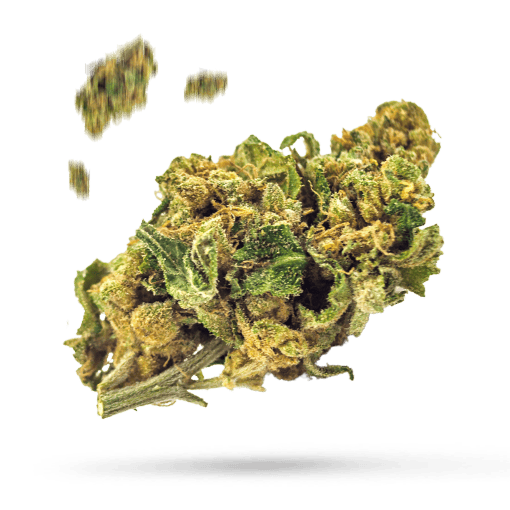 Bubble Bath - Cannabissorte