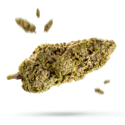 Bubble Berry - Cannabissorte