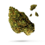 Bubble Gum - Cannabissorte