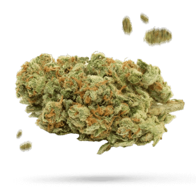 Buford OG - Cannabissorte