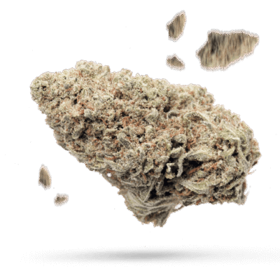 Bunny Hug - Cannabissorte