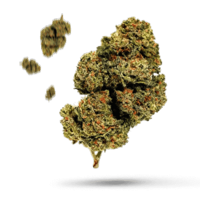 C-Land - Cannabissorte