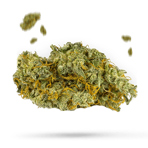 Cake Mix - Cannabissorte
