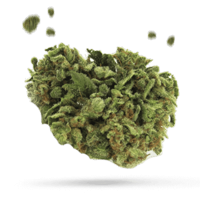 Cake's Revenge - Cannabissorte