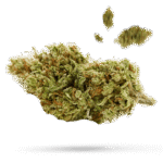 Cali OG Kush - Cannabissorte