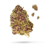 California Limes - Cannabissorte