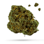 Calypso Rose - Cannabissorte