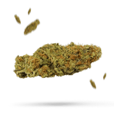 Candy Cream - Cannabissorte