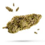 Candy Drop - Cannabissorte