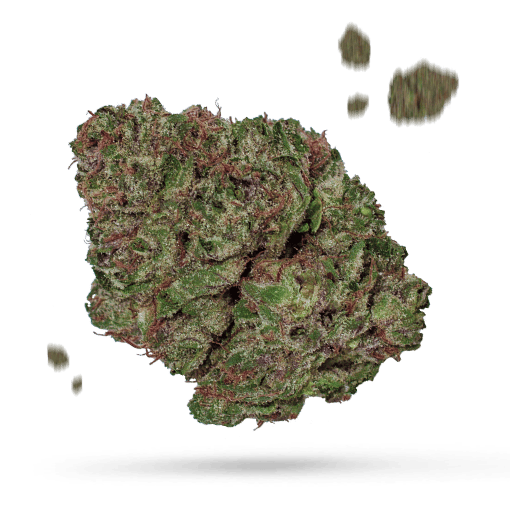 Cap Junky - Cannabissorte