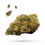 Caramel Ice - Cannabissorte