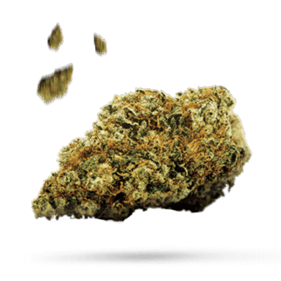 Caramel Ice - Cannabissorte