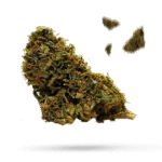 Caramel Kona Coffee Kush - Cannabissorte