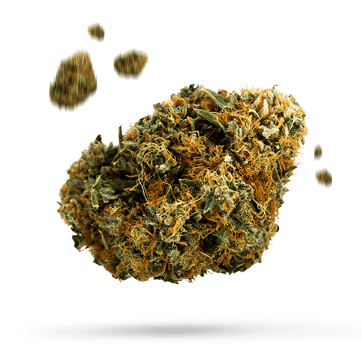 Caramella - Cannabissorte