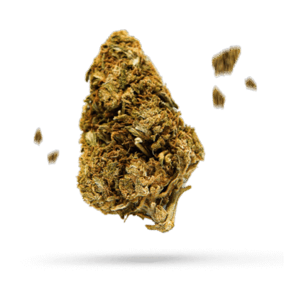 CBD OG - Cannabissorte
