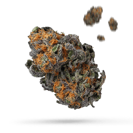 CBD Rich Blessing - Cannabissorte