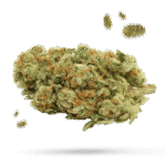 Chem Cake - Cannabissorte