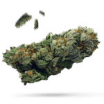 Chem Pie OG - Cannabissorte