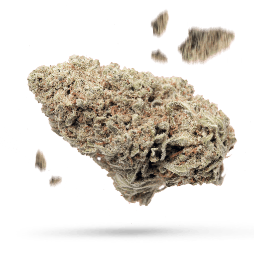 Chem Trails - Cannabissorte