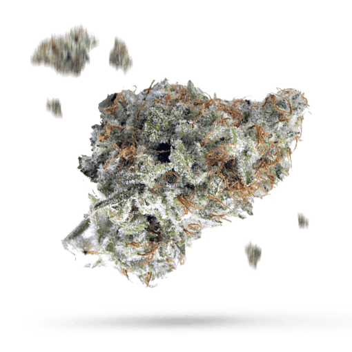 Chemdog #4 x Alien OG Kush - Cannabissorte