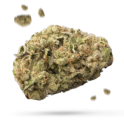 Chernobyl - Cannabissorte