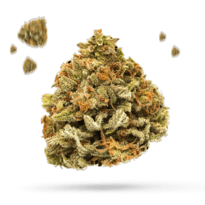 Cherry Dawg - Cannabissorte