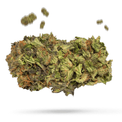 Cherry Fire - Cannabissorte