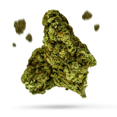 Cherry Fritter - Cannabissorte