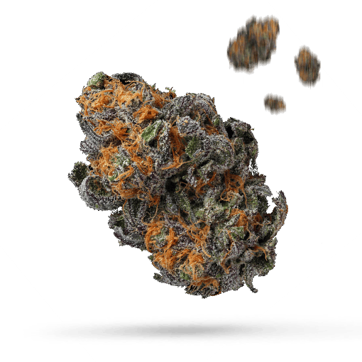 Cherry Grapefruit - Cannabissorte