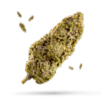 Cherry Haze - Cannabissorte