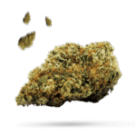 Cherry Limeade - Cannabissorte