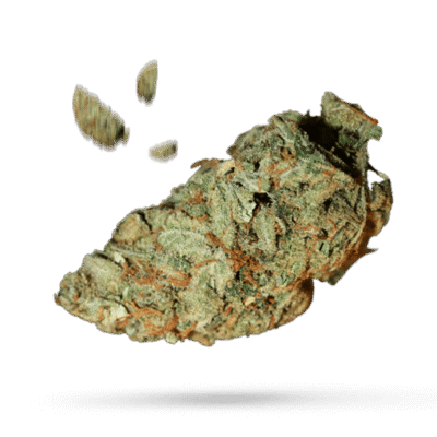 Cherry Puff - Cannabissorte