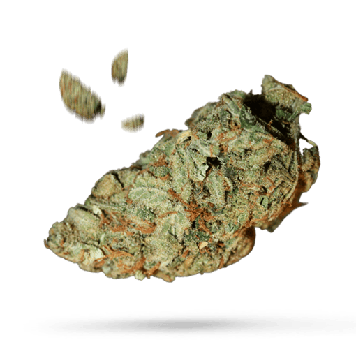 Cherry Puff - Cannabissorte