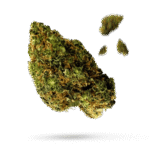 Cherry Stout - Cannabissorte