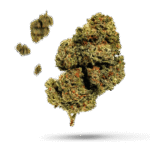 Cherry Wine - Cannabissorte