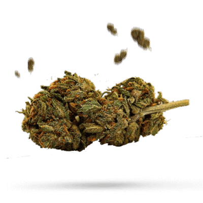 Cherry Zkittlez - Cannabissorte