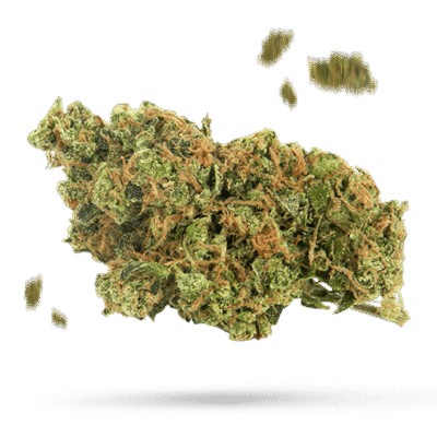 Chewbacca - Cannabissorte