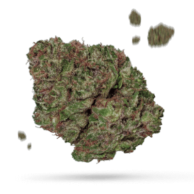 Chocolate Chem - Cannabissorte