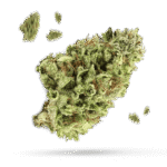 Chocolate Meringue - Cannabissorte